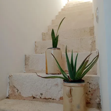 منزل ريفي Nuova 1924 *