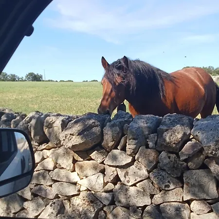 منزل ريفي Nuova 1924 *