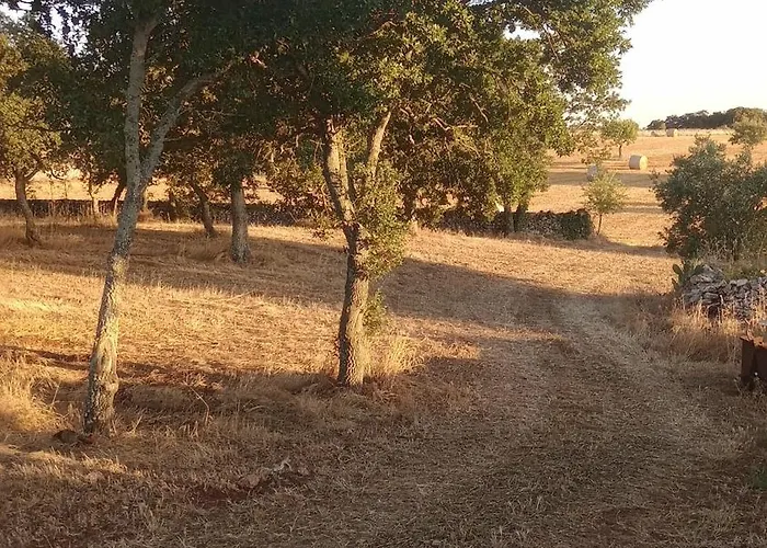Kır Evi Nuova 1924 Mottola